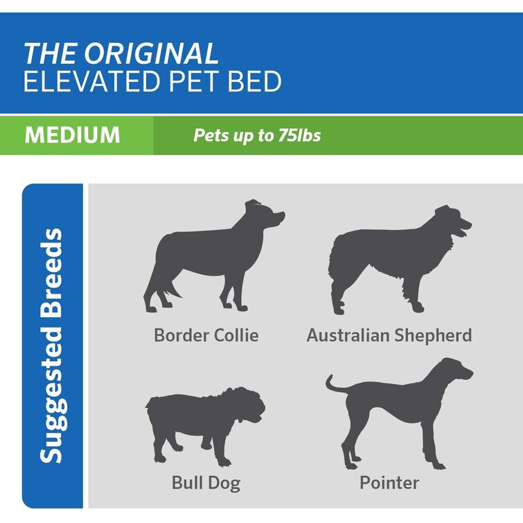 Coolaroo elevated outlet dog bed